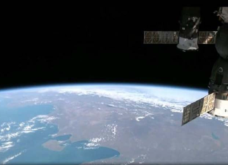 প্রথমবারের মতো মহাকাশে ইঁদুরের ভ্রূণ বিকশিত হয়েছে মহাকাশে ইঁদুরের ভ্রূণ