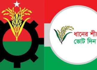 বিএনপি যেভাবে সংসদ নির্বাচনের জন্য প্রস্তুতি নিচ্ছে বিএনপি